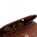 Garzini Essenziale Coin Pocket Πορτοφόλι - Croco - Καφέ