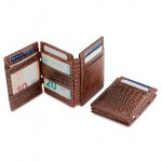 Garzini Magistrale Wallet - Croco - Καφέ